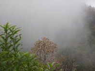 nte Fontane-201011107 069